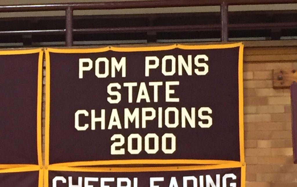 The Lockport Porterettes have an IDTA state championship to their credit