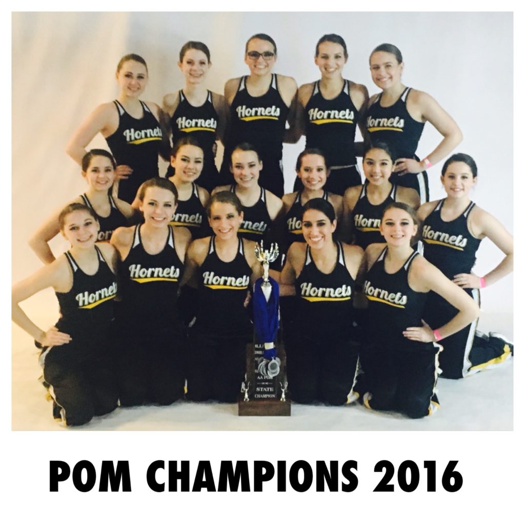 The Hornet Danceline owns a 2016 category state title--something that few northern Illinois teams can say